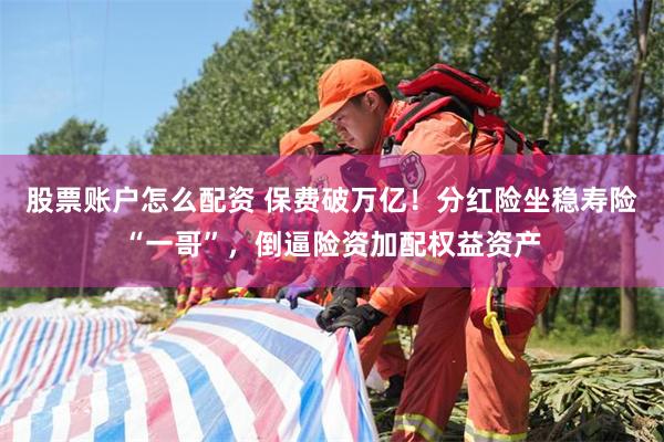 股票账户怎么配资 保费破万亿！分红险坐稳寿险“一哥”，倒逼险资加配权益资产