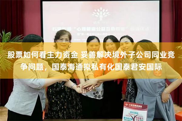 股票如何看主力资金 妥善解决境外子公司同业竞争问题，国泰海通拟私有化国泰君安国际