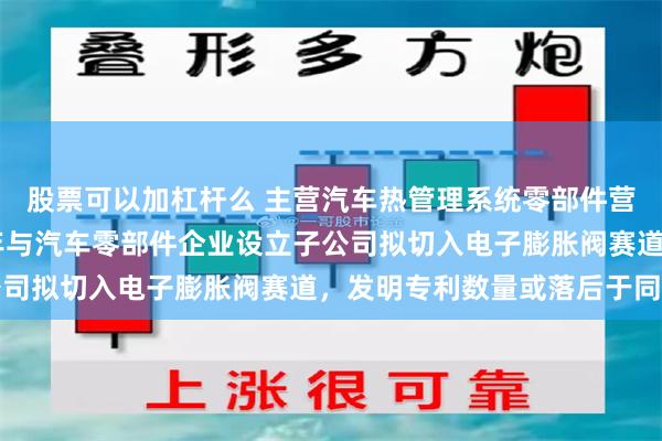 股票可以加杠杆么 主营汽车热管理系统零部件营收超19亿元，辅导当年与汽车零部件企业设立子公司拟切入电子膨胀阀赛道，发明专利数量或落后于同行