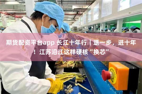 期货配资平台app 长江十年行｜退一步，进十年！江苏沿江这样硬核“换芯”