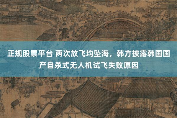 正规股票平台 两次放飞均坠海，韩方披露韩国国产自杀式无人机试飞失败原因