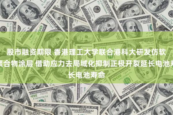 股市融资期限 香港理工大学联合港科大研发仿软骨聚合物涂层 借助应力去局域化抑制正极开裂延长电池寿命