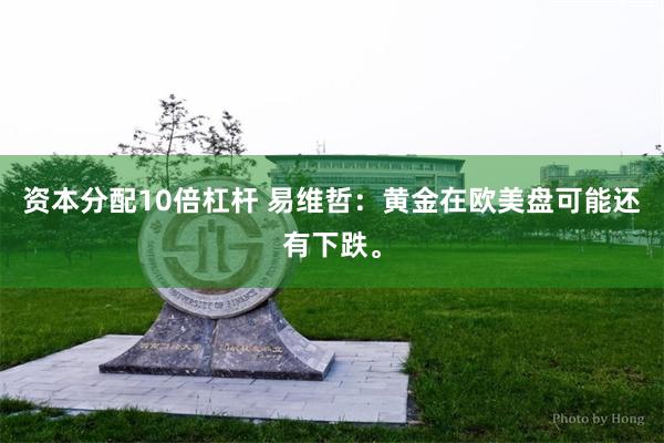 资本分配10倍杠杆 易维哲:黄金在欧美盘可能还有下跌。