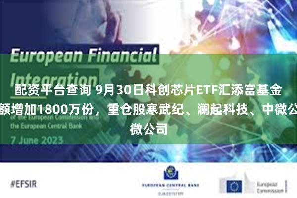 配资平台查询 9月30日科创芯片ETF汇添富基金份额增加1800万份，重仓股寒武纪、澜起科技、中微公司