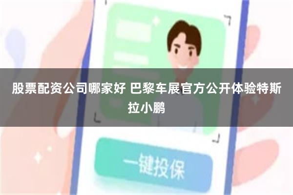 股票配资公司哪家好 巴黎车展官方公开体验特斯拉小鹏
