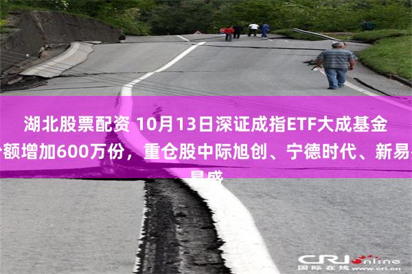 湖北股票配资 10月13日深证成指ETF大成基金份额增加600万份,重仓股中际旭创、宁德时代、新易盛
